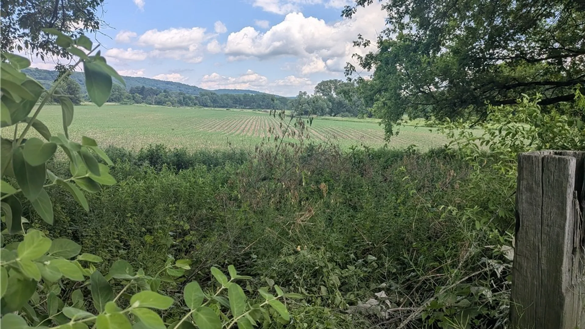 Property at 39 Hickory Park Rd Road, Cortland, NY 13045 6