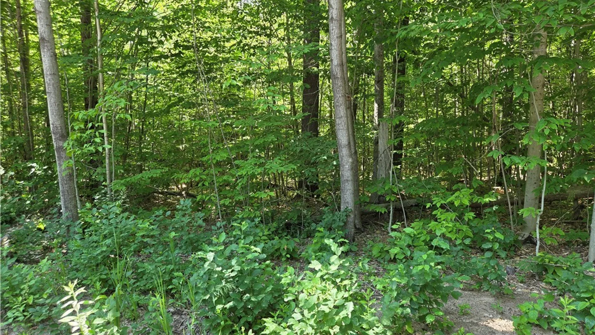 Property at 7399 Pennysettlement Road, Lyonsdale, NY 13368 2