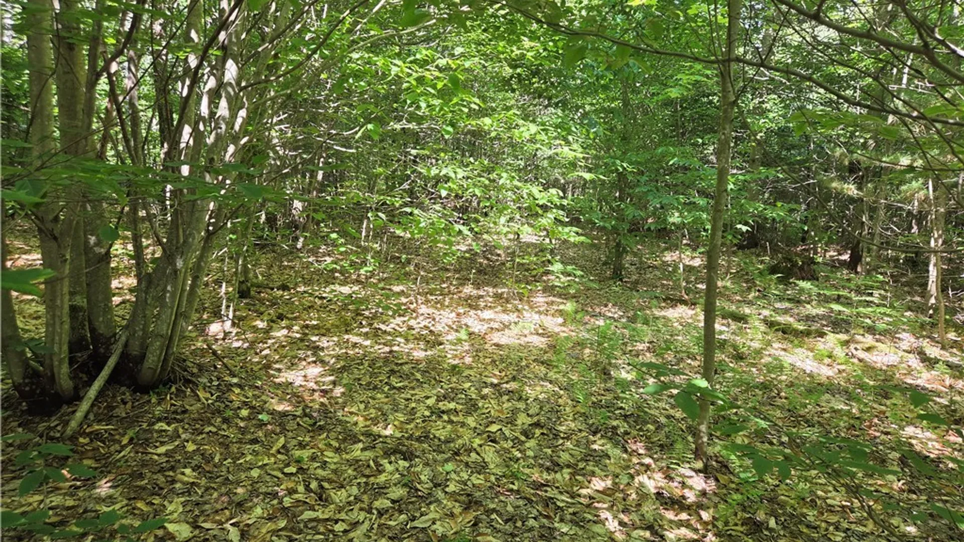 Property at 7399 Pennysettlement Road, Lyonsdale, NY 13368 7