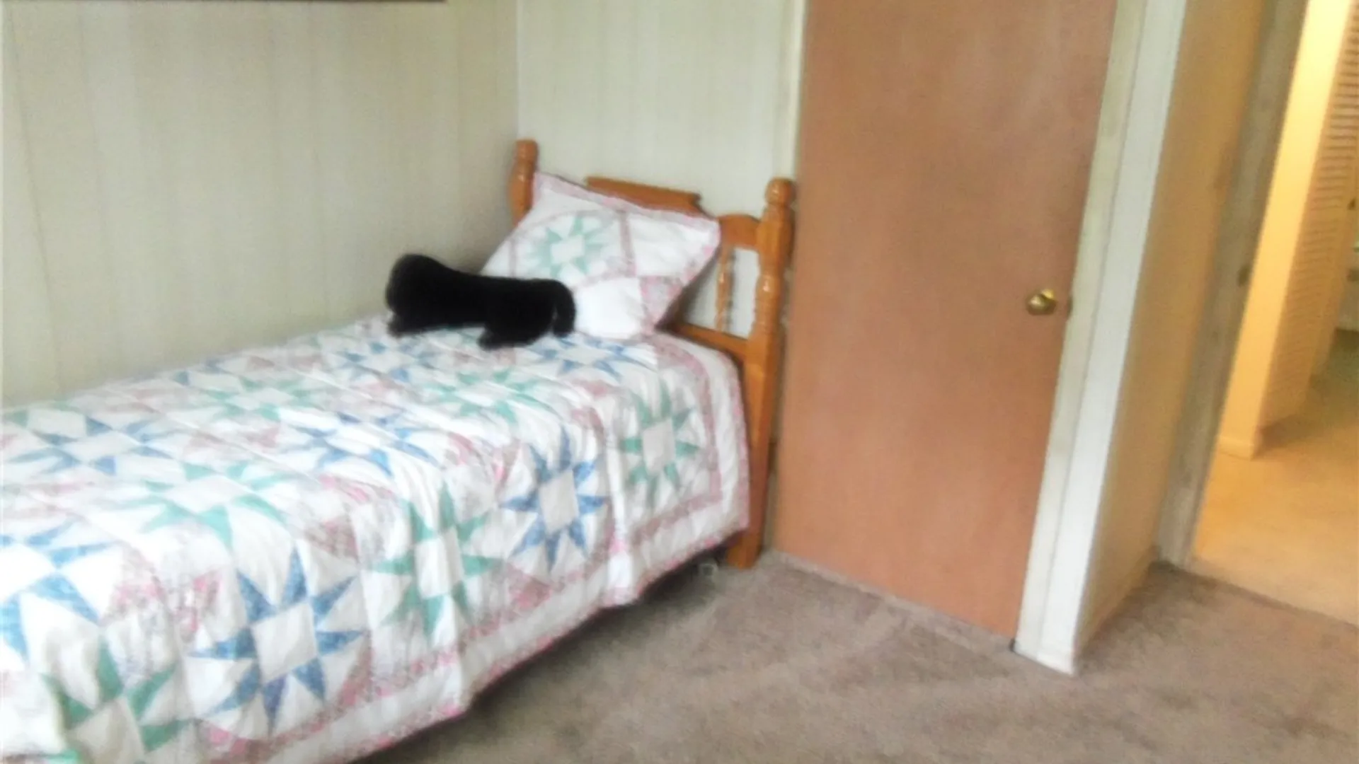 Property at 3746 Crestwood Drive, Dunkirk, NY 14048 18