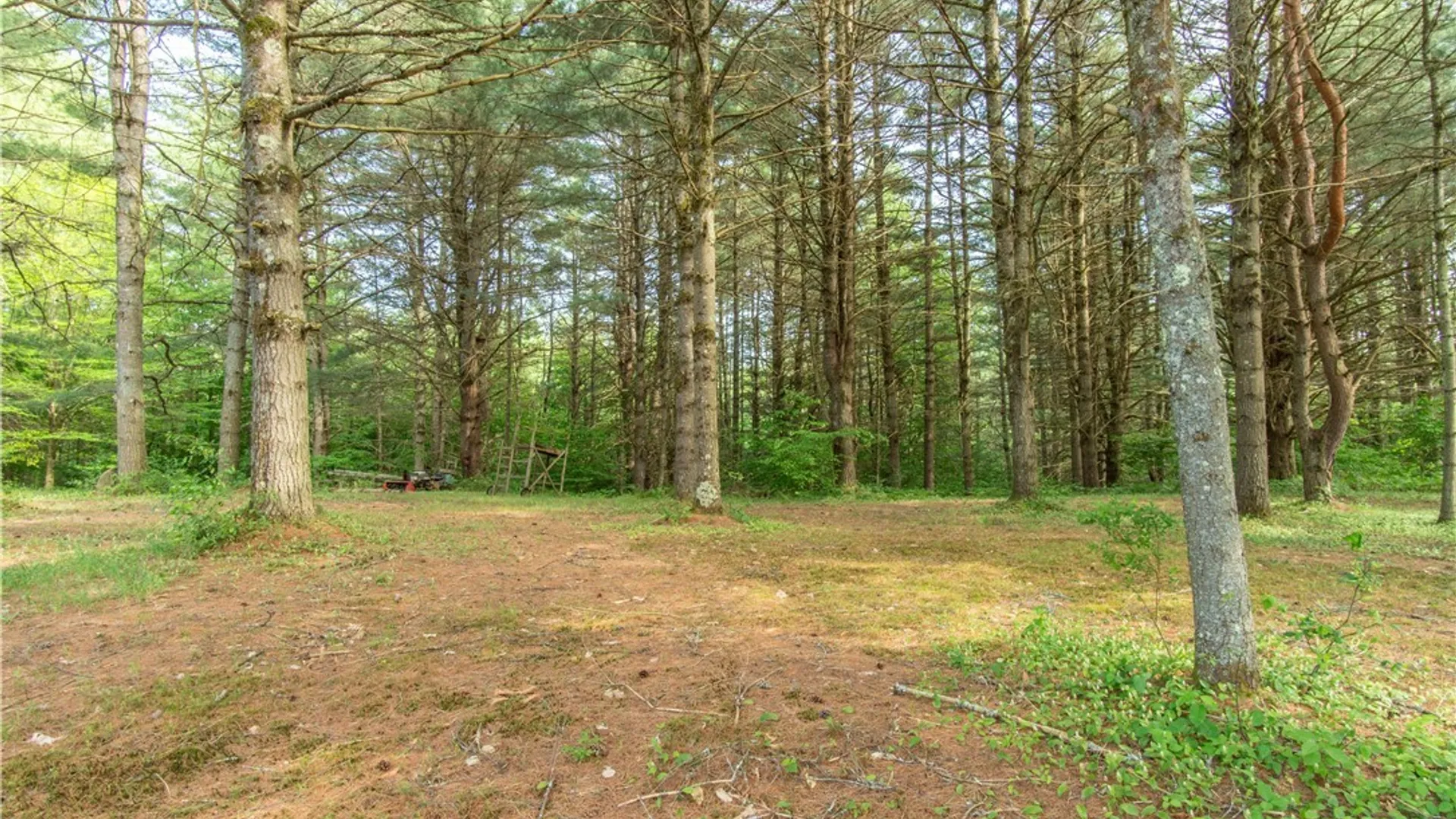 Property at 7746 Number Four Road, New Bremen, NY 13367 11