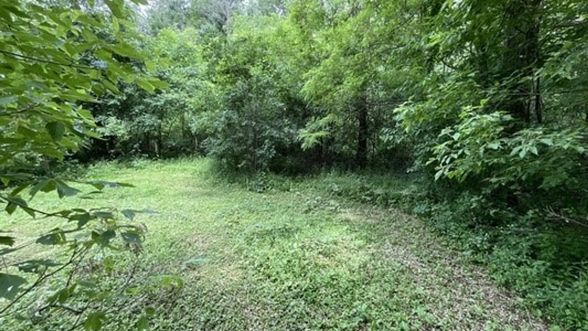 Property at 25265 State Route 3, Pamelia, NY 13601 8