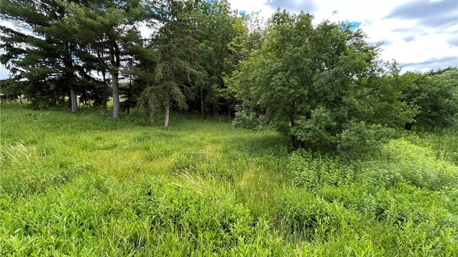 Property at 5131 State Route 21, Canandaigua Town, NY 14424 10