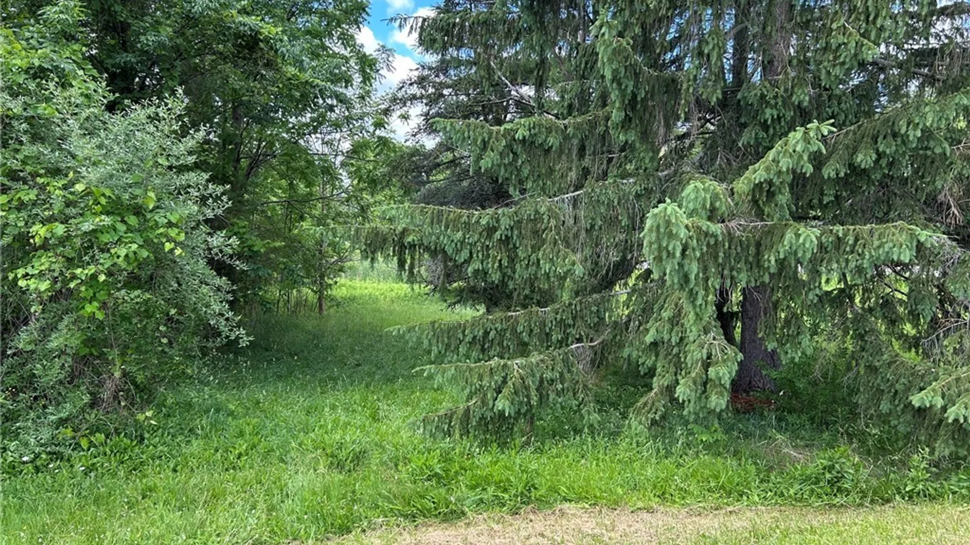 Property at 5131 State Route 21, Canandaigua Town, NY 14424 3