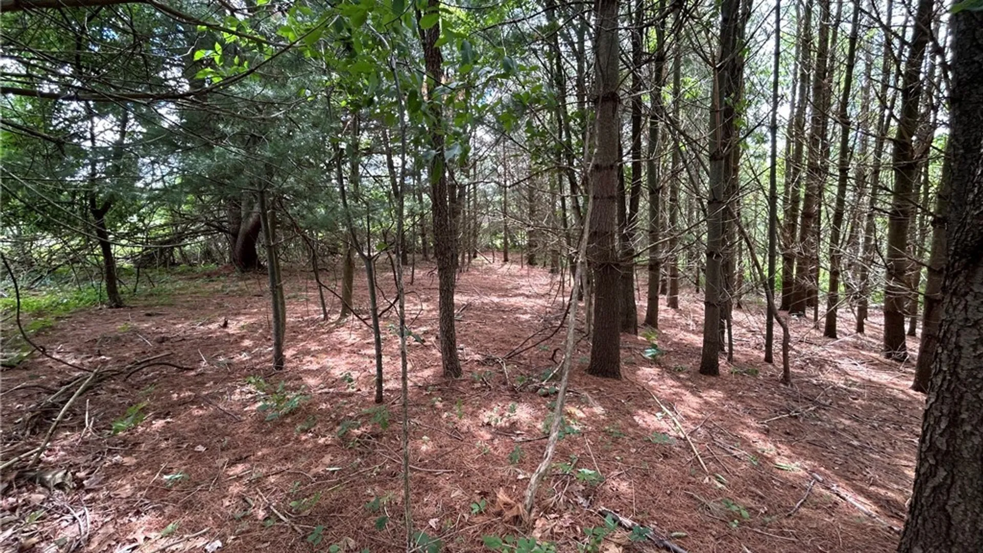 Property at 5131 State Route 21, Canandaigua Town, NY 14424 5
