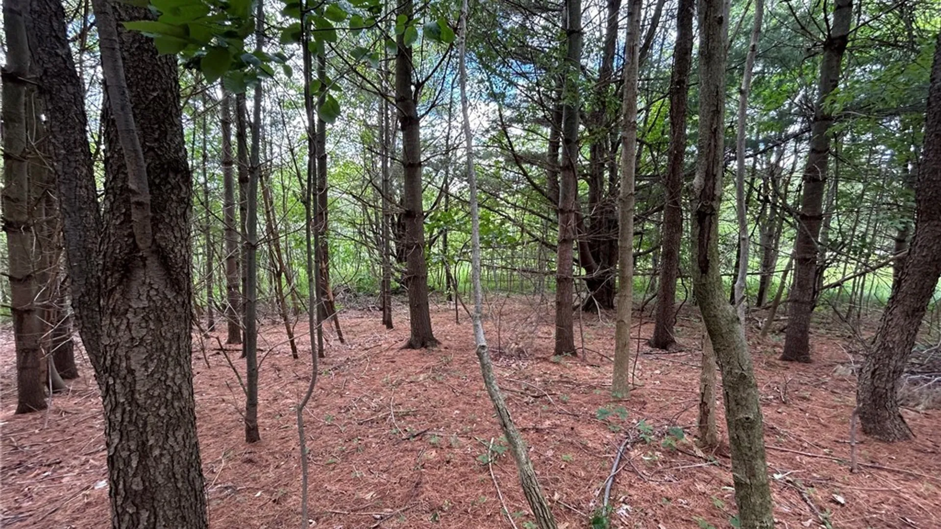 Property at 5131 State Route 21, Canandaigua Town, NY 14424 6