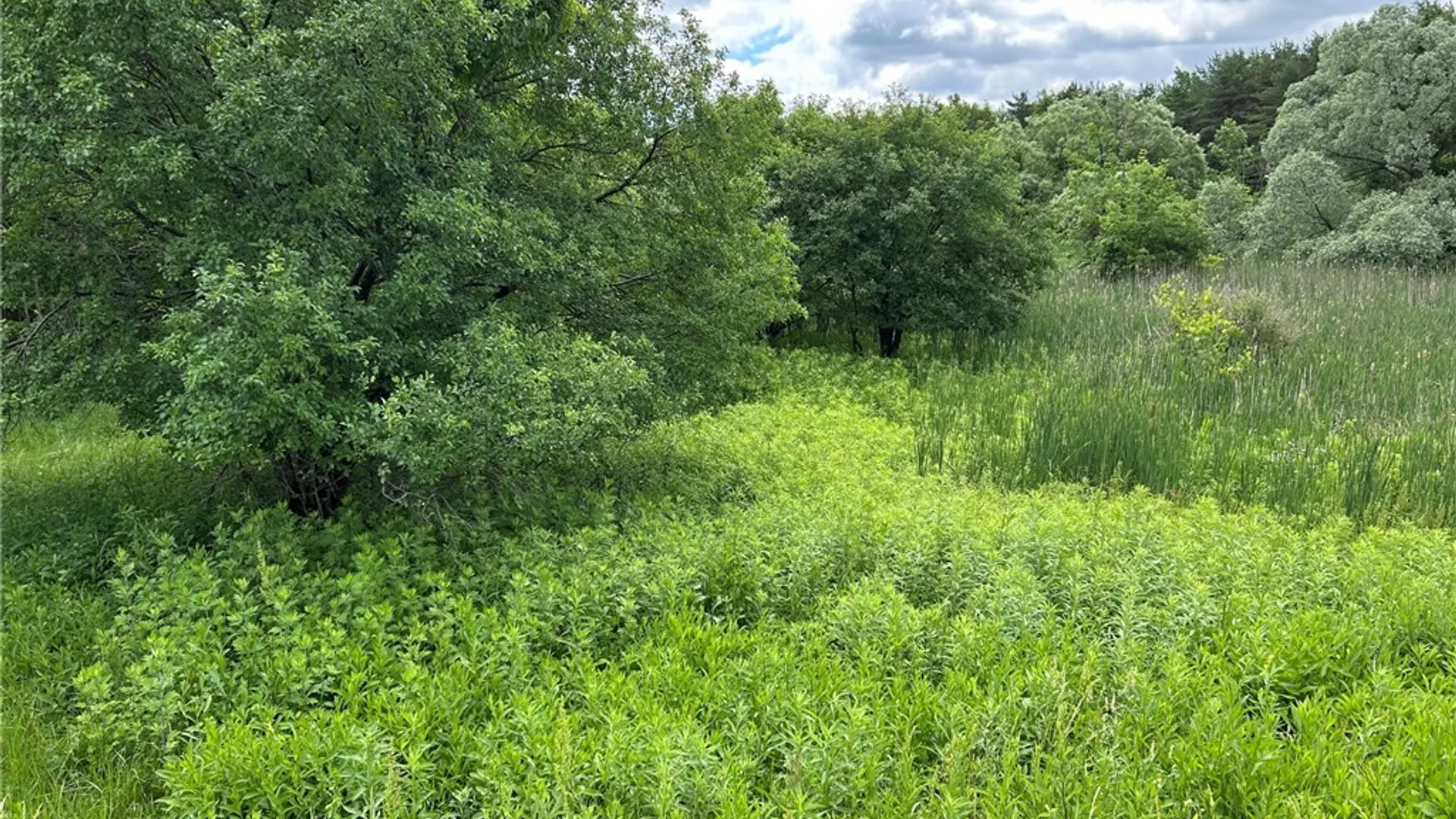 Property at 5131 State Route 21, Canandaigua Town, NY 14424 7