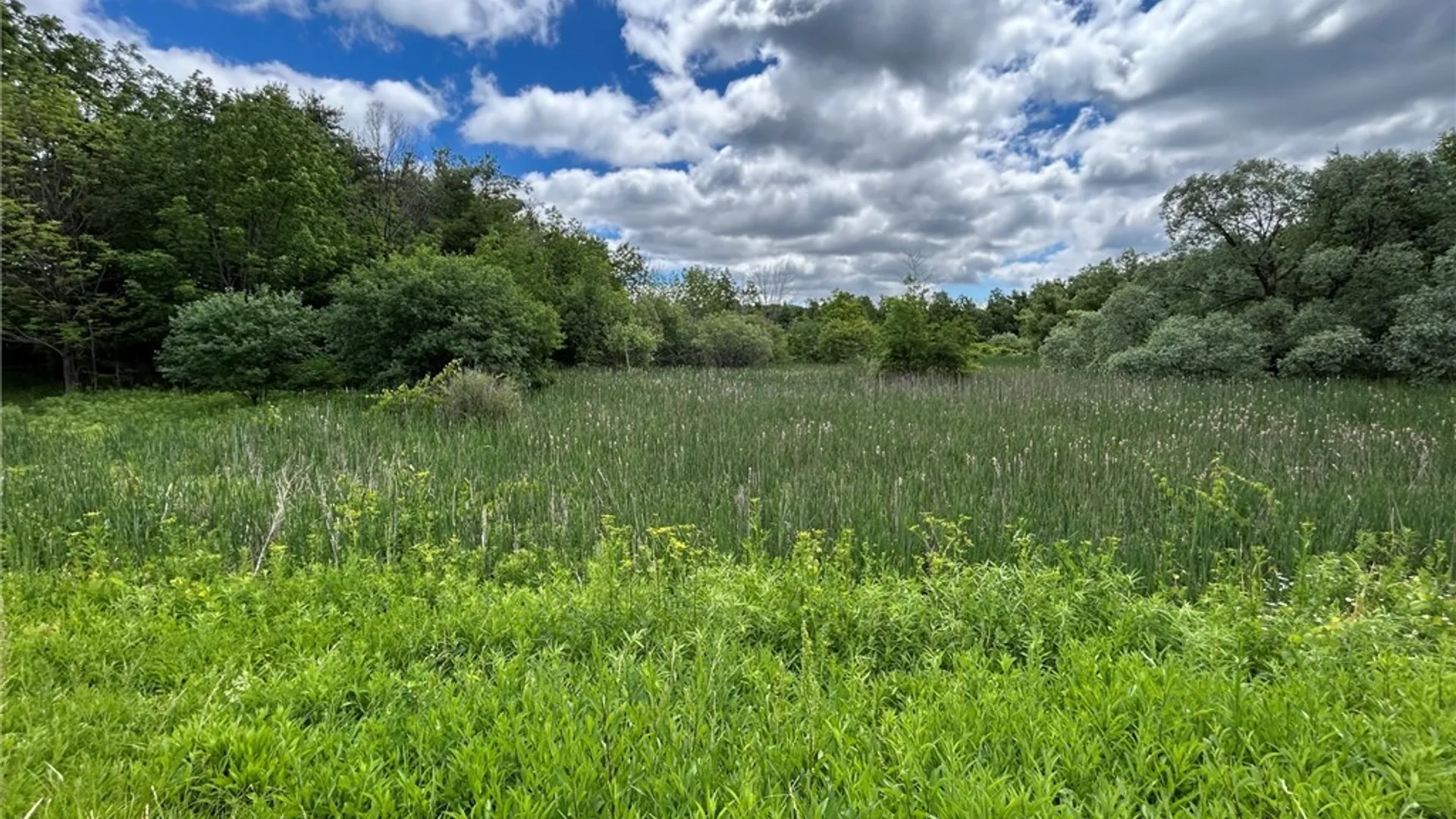 Property at 5131 State Route 21, Canandaigua Town, NY 14424 8
