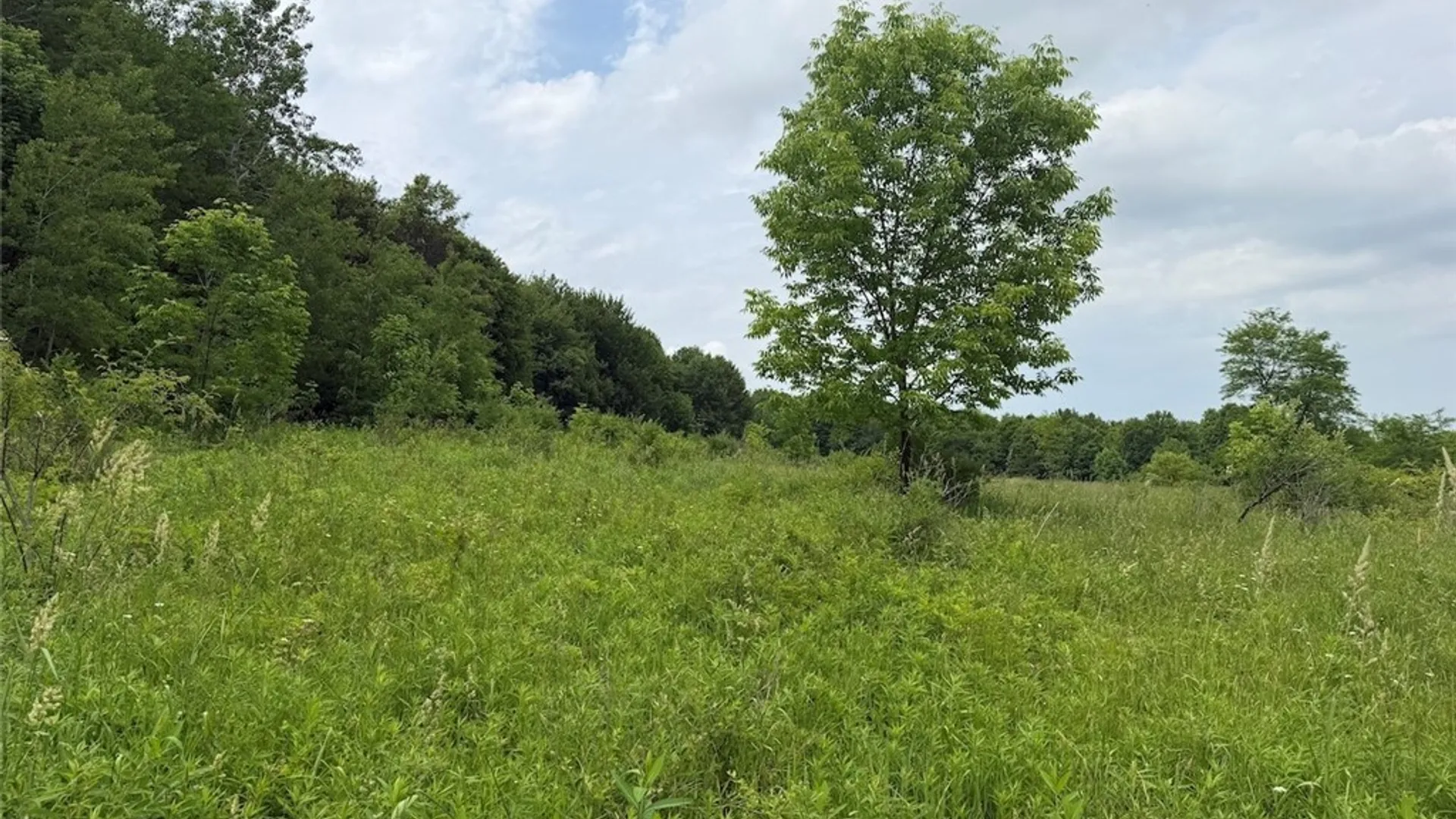 Property at Dye Road, Dayton, NY 14138 23