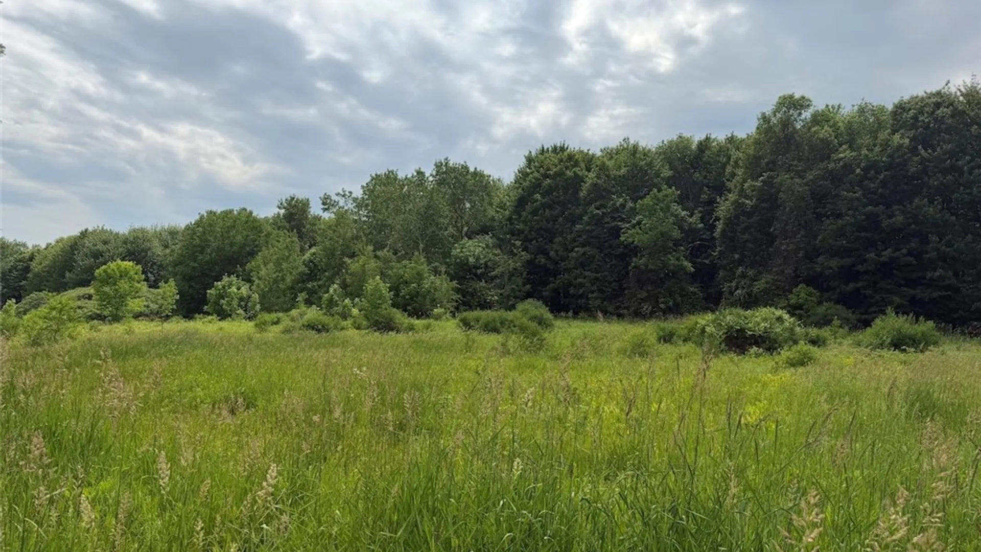 Property at Dye Road, Dayton, NY 14138 31
