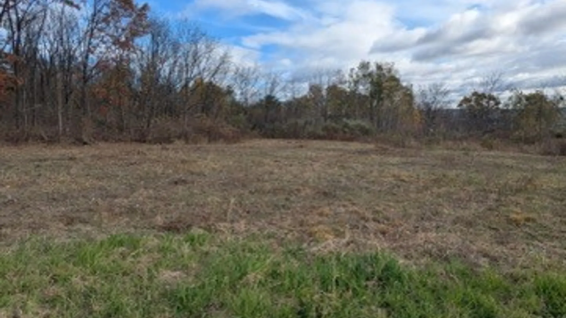 Property at 8639 Wright Road, Pulteney, NY 14874 2