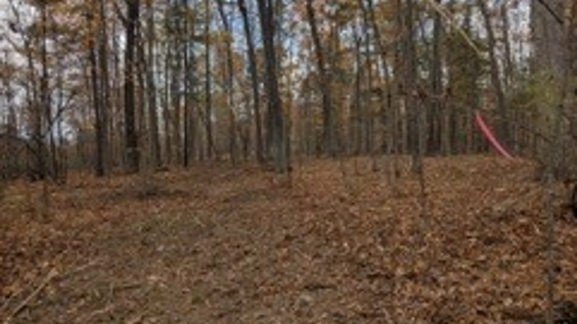 Property at 8639 Wright Road, Pulteney, NY 14874 5