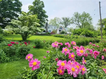 Property at 226 Hines Road, Enfield, NY 14867