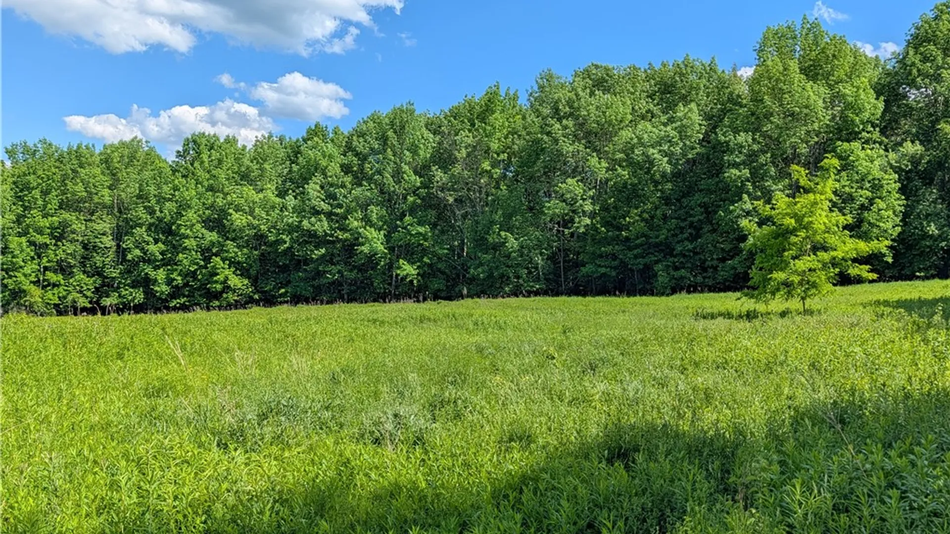 Property at Jennison Road, Pittsfield, NY 13411 2