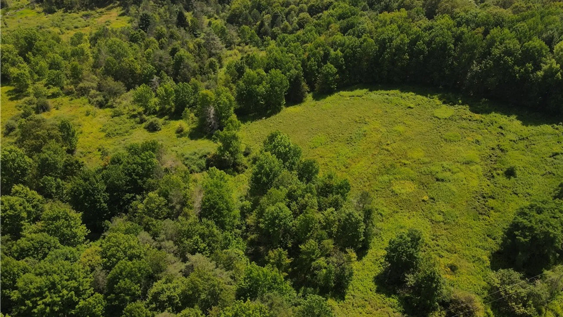 Property at Jennison Road, Pittsfield, NY 13411 5