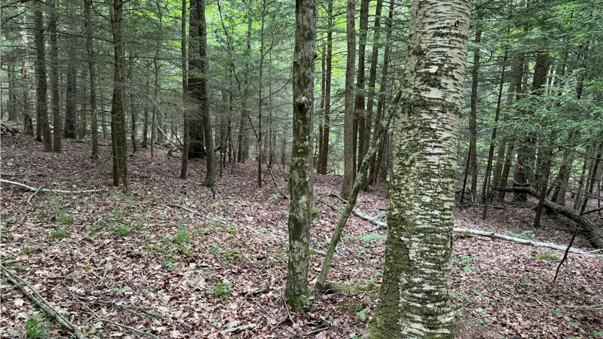 Property at Tinkertown Road, Tuscarora, NY 14510 10