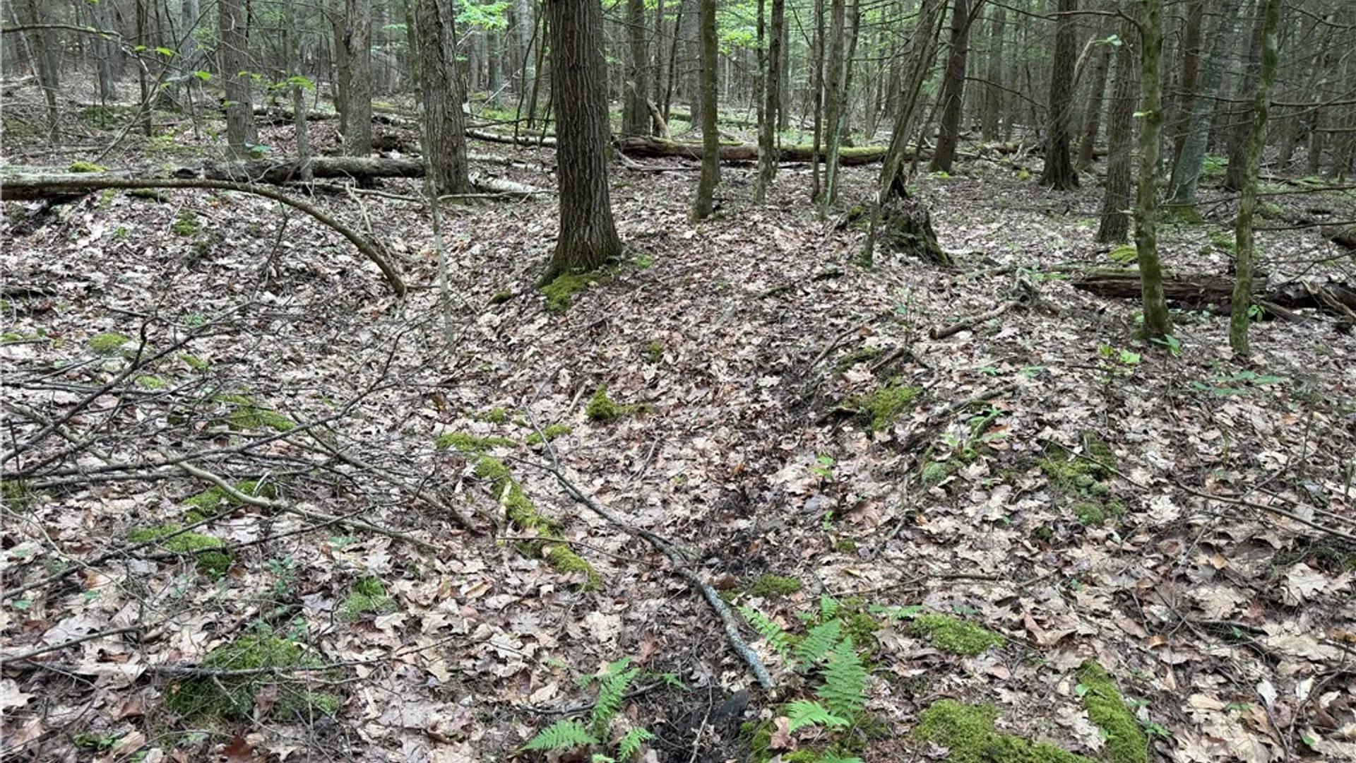 Property at Tinkertown Road, Tuscarora, NY 14510 12
