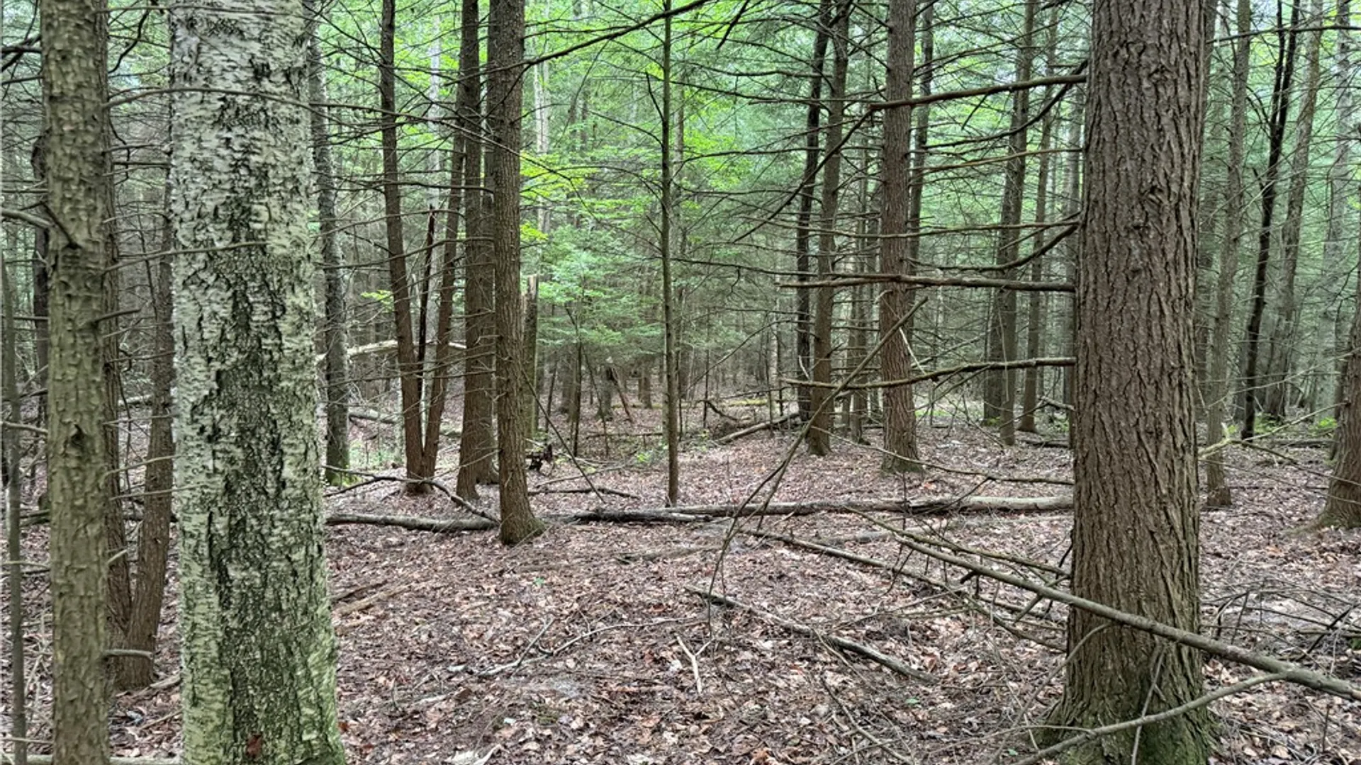 Property at Tinkertown Road, Tuscarora, NY 14510 13