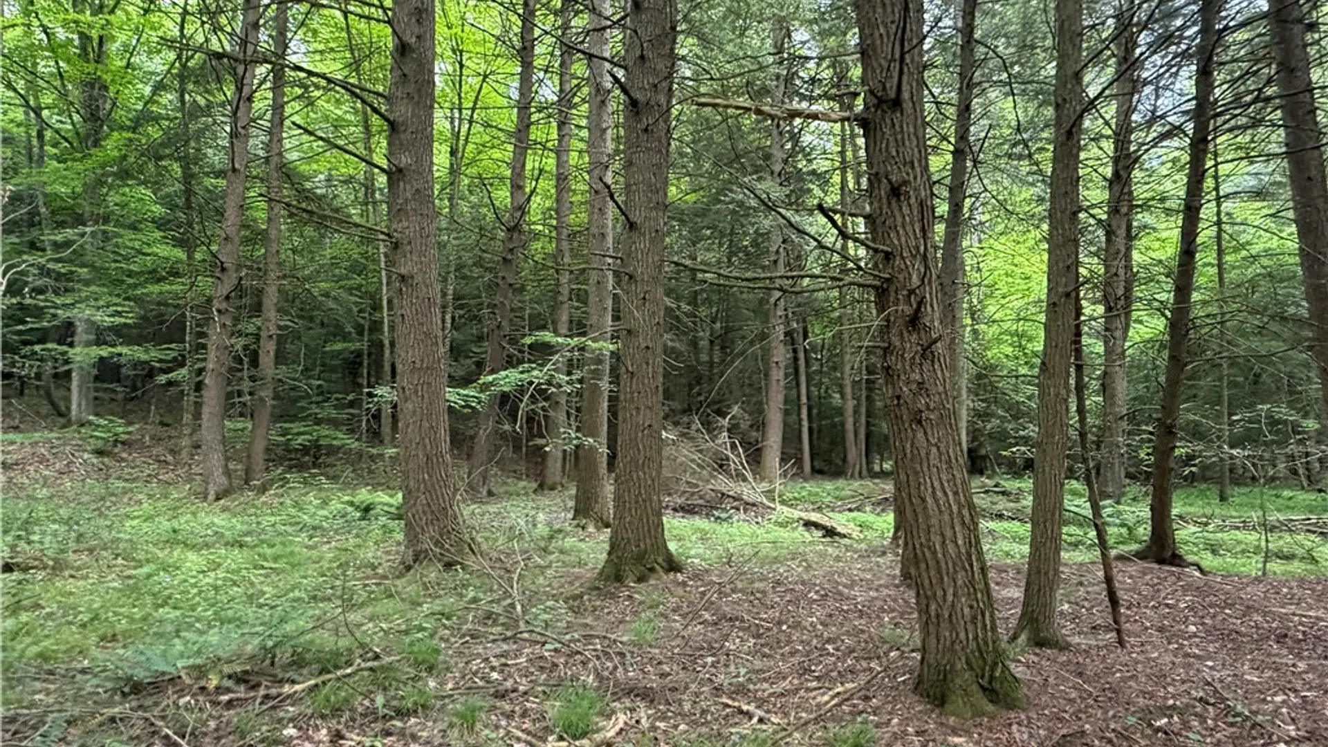 Property at Tinkertown Road, Tuscarora, NY 14510 14