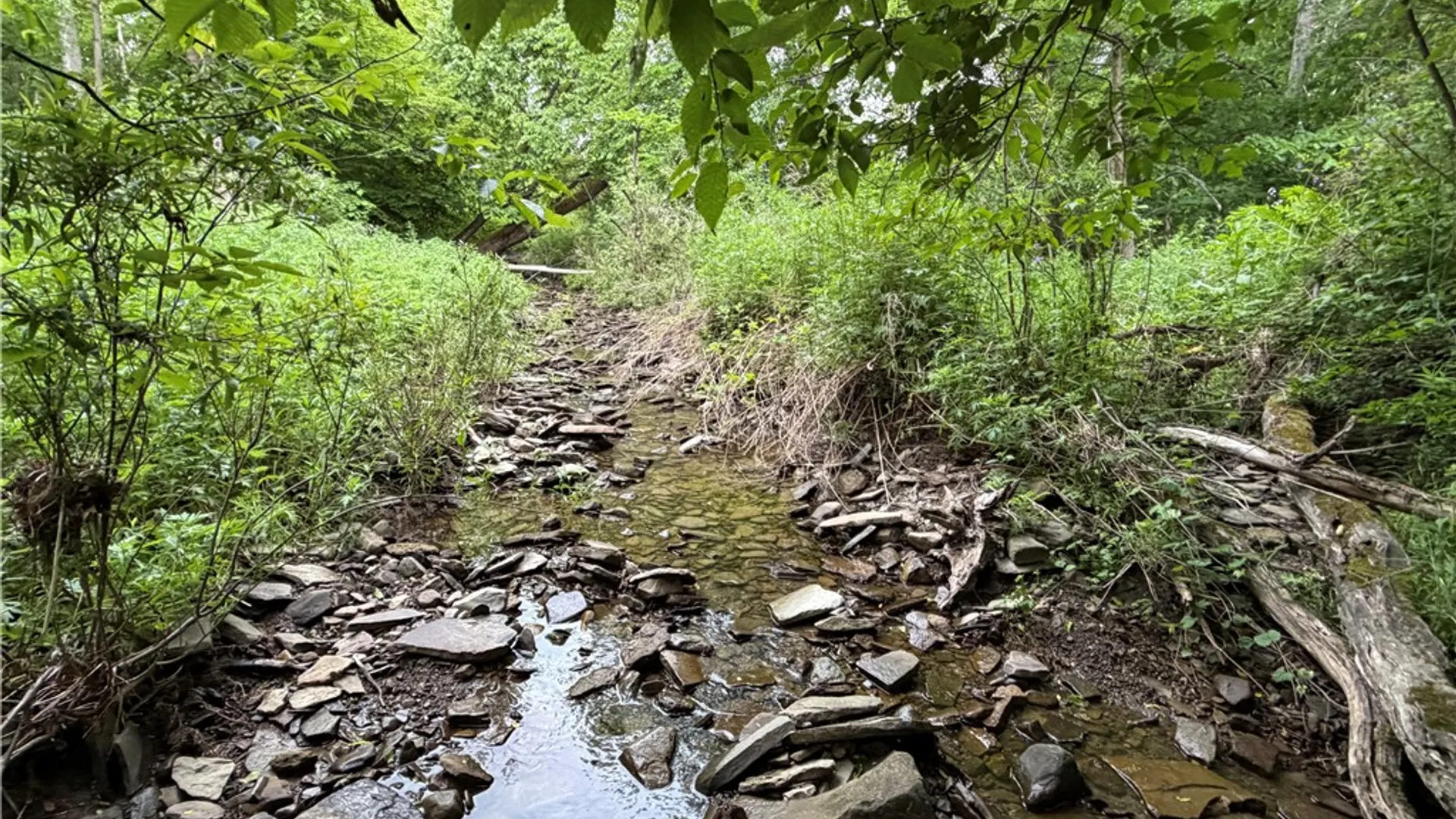 Property at Tinkertown Road, Tuscarora, NY 14510 16