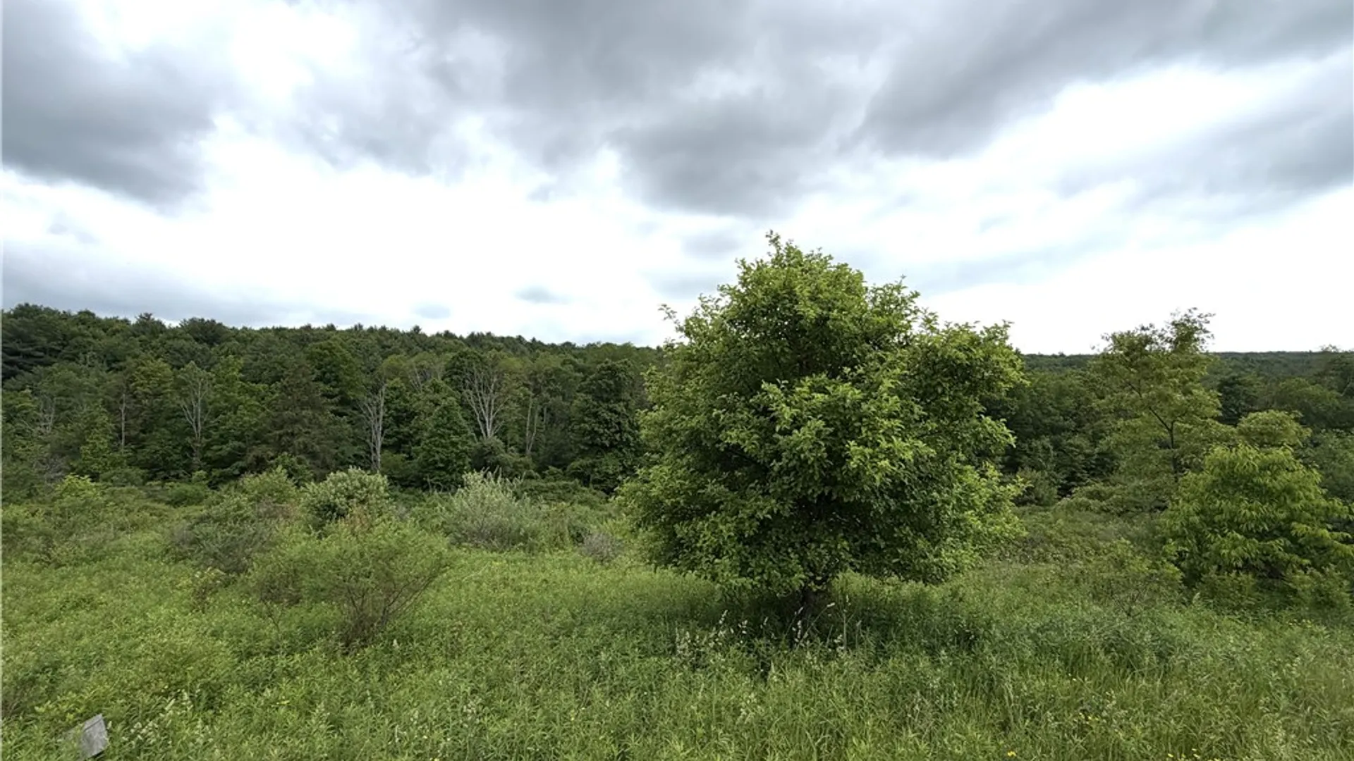 Property at Tinkertown Road, Tuscarora, NY 14510 17
