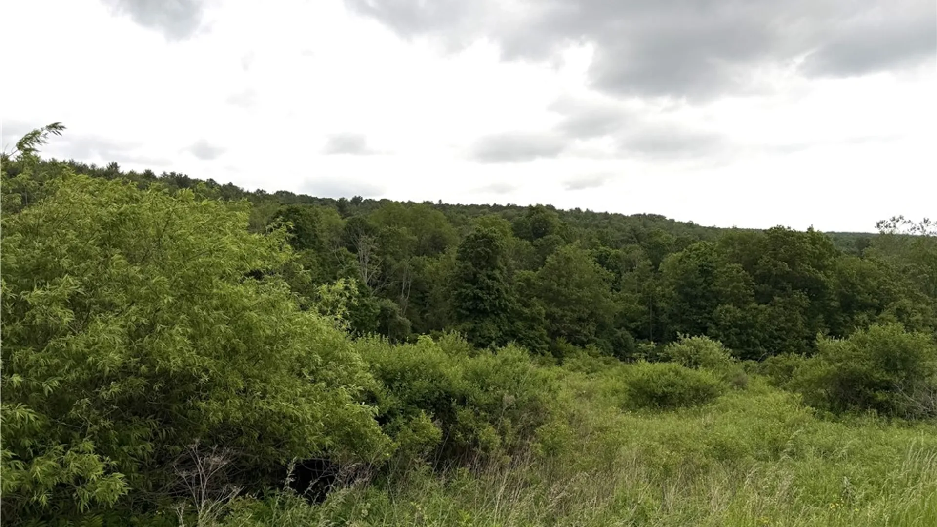 Property at Tinkertown Road, Tuscarora, NY 14510 18