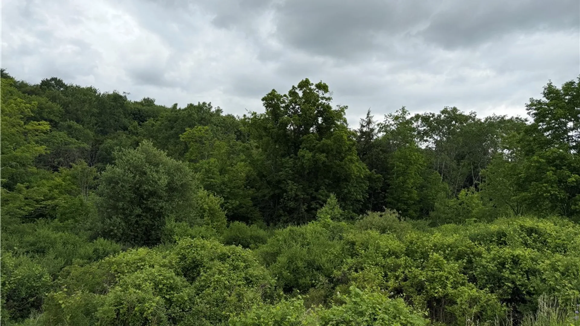 Property at Tinkertown Road, Tuscarora, NY 14510 19
