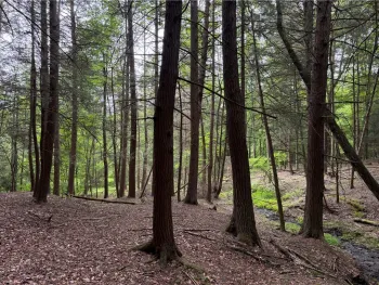 Property at Tinkertown Road, Tuscarora, NY 14510