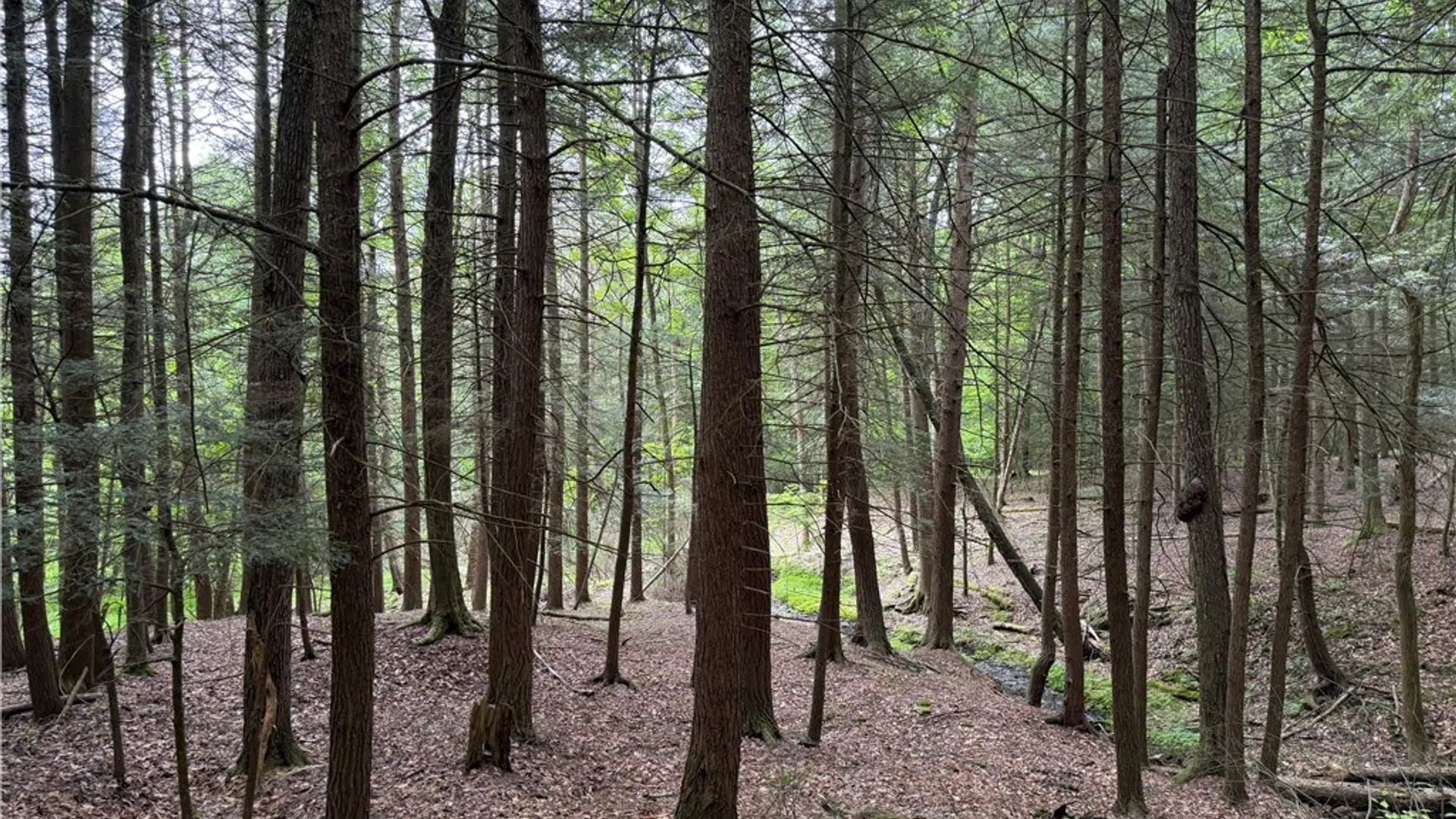 Property at Tinkertown Road, Tuscarora, NY 14510 2