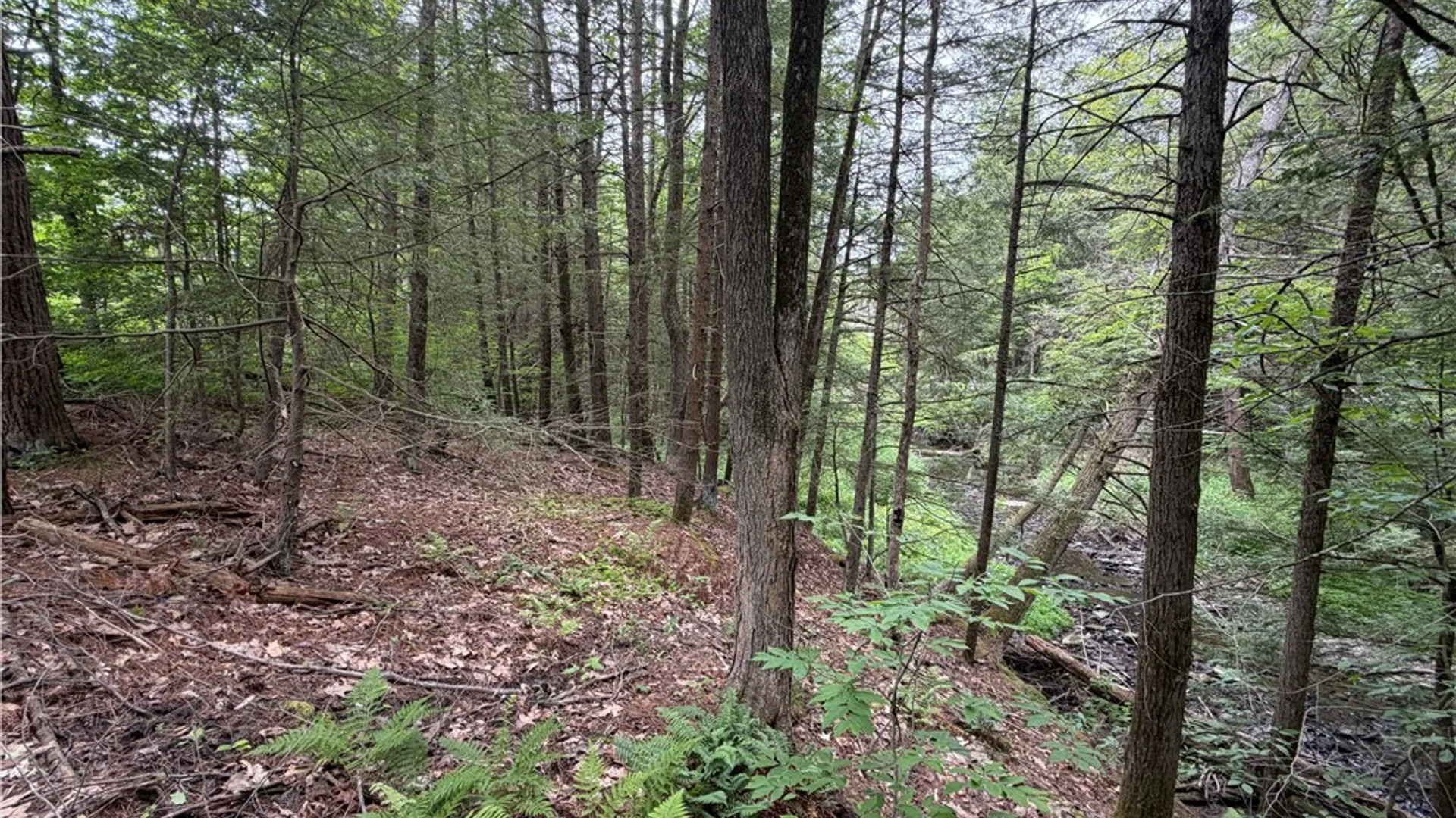 Property at Tinkertown Road, Tuscarora, NY 14510 20
