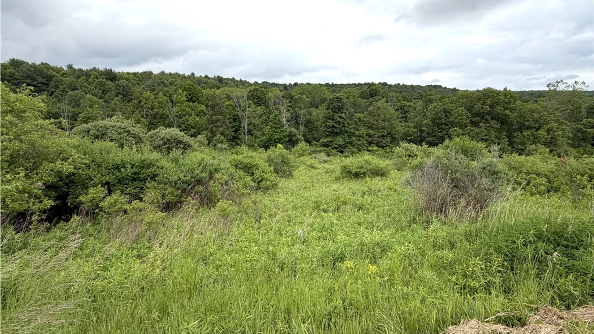 Property at Tinkertown Road, Tuscarora, NY 14510 23