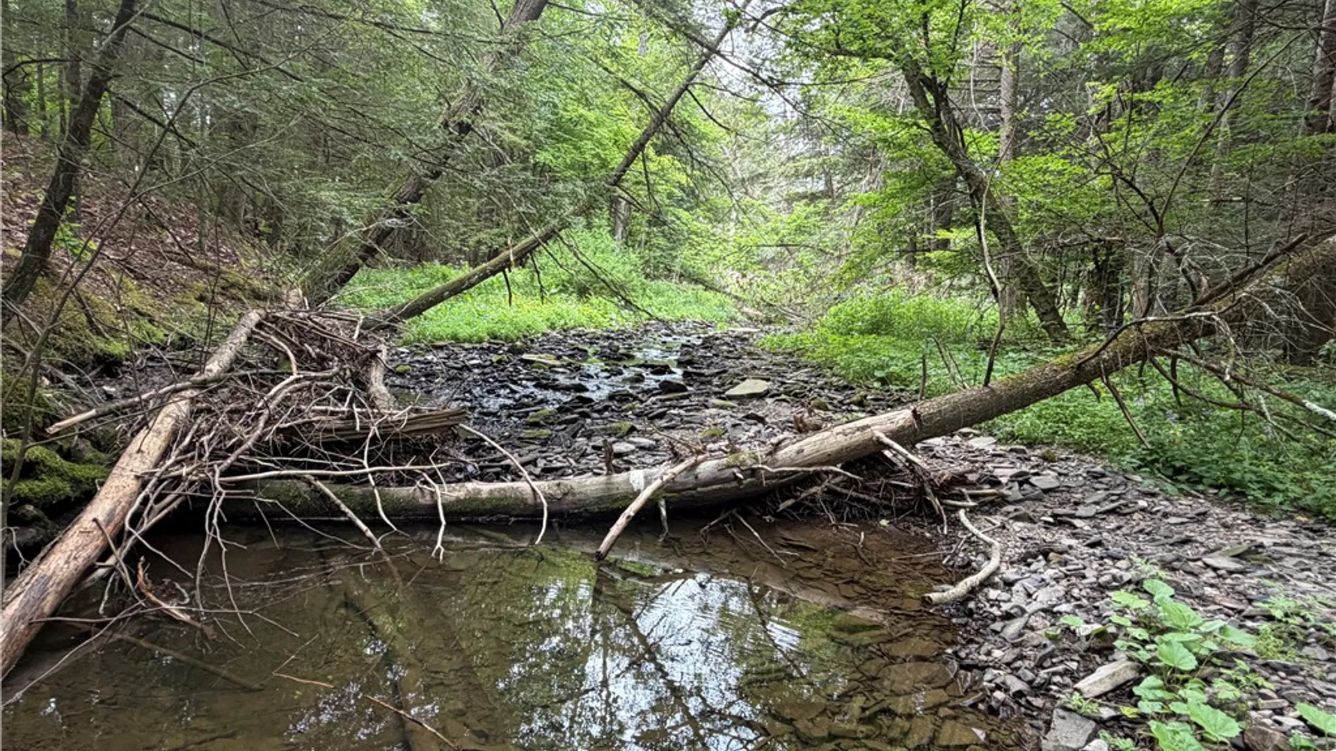 Property at Tinkertown Road, Tuscarora, NY 14510 25