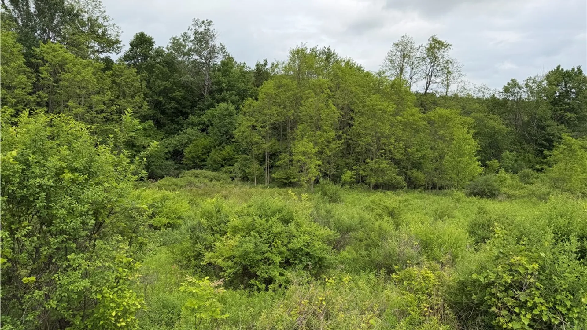 Property at Tinkertown Road, Tuscarora, NY 14510 27