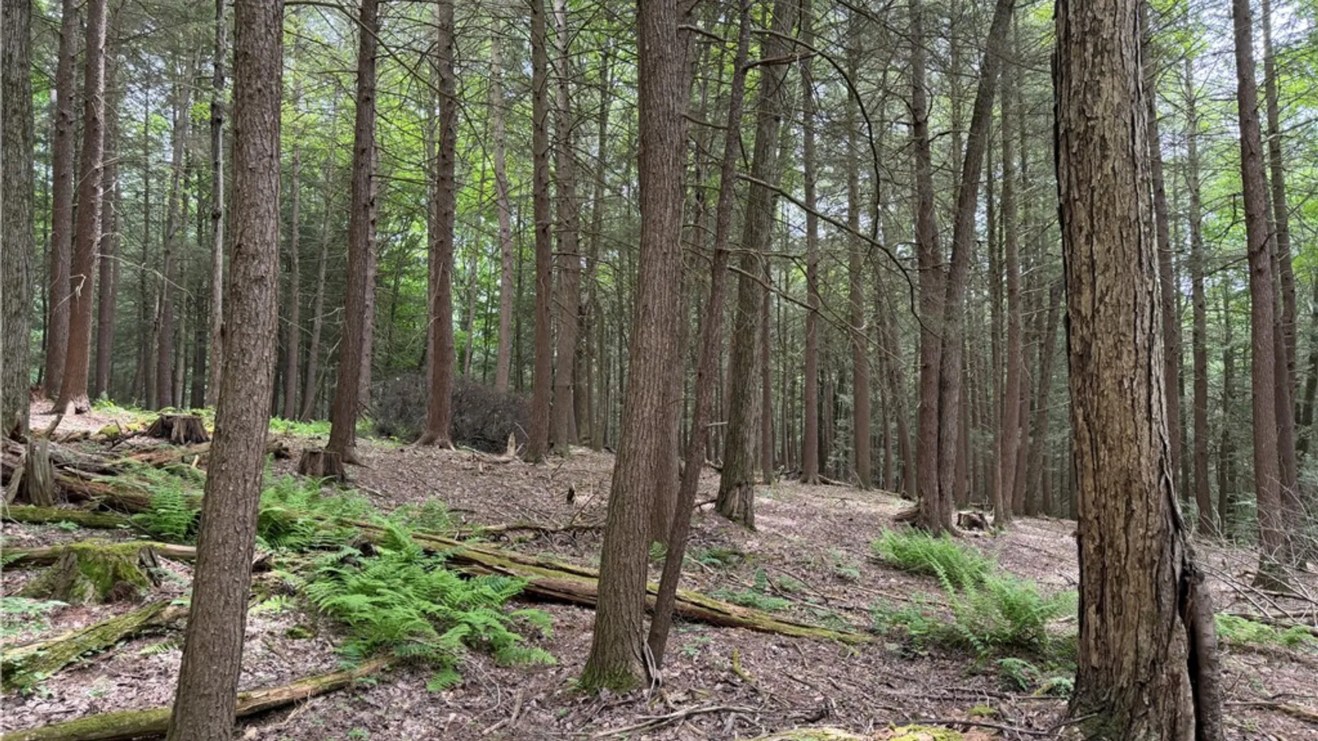 Property at Tinkertown Road, Tuscarora, NY 14510 28