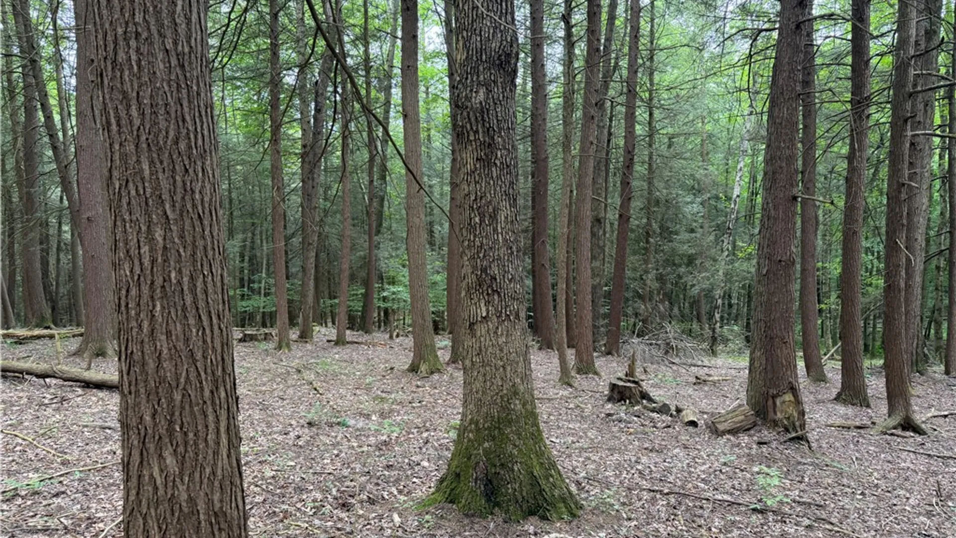Property at Tinkertown Road, Tuscarora, NY 14510 29