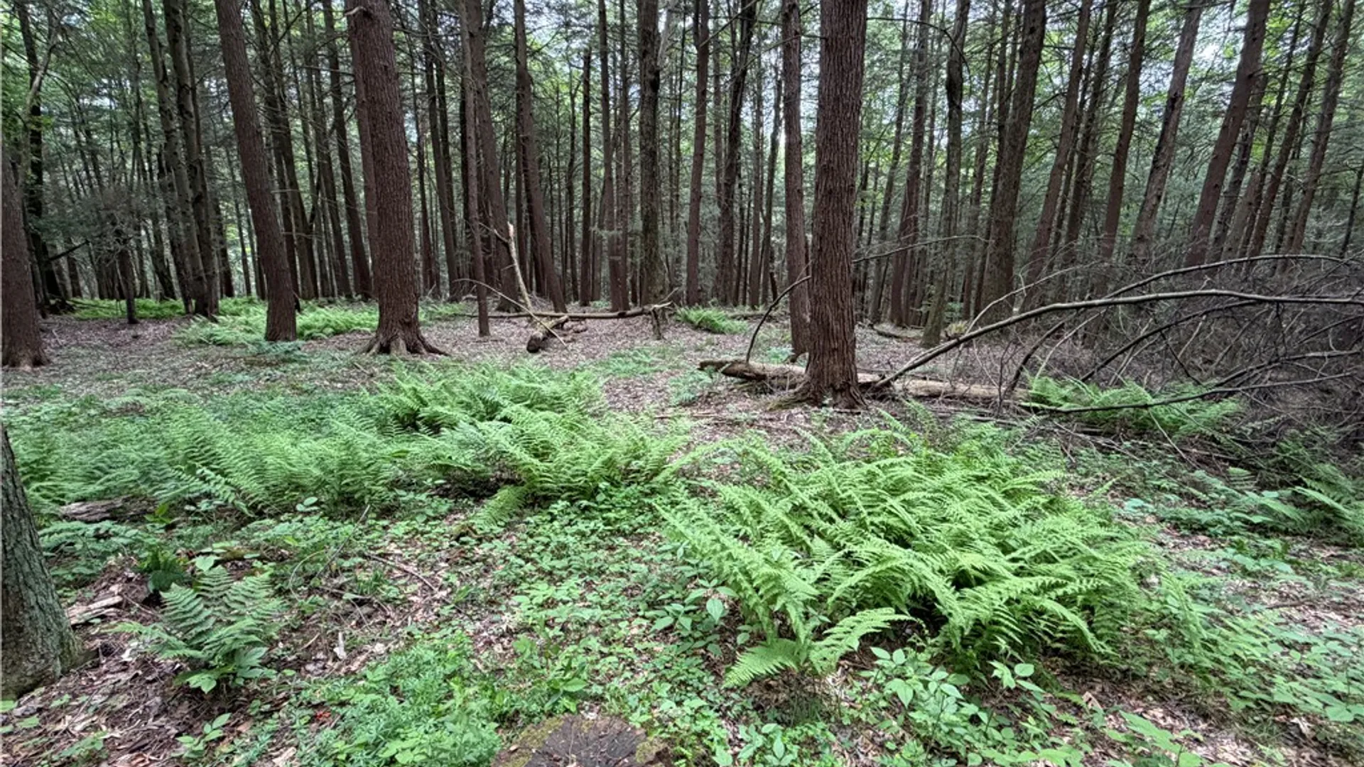 Property at Tinkertown Road, Tuscarora, NY 14510 3