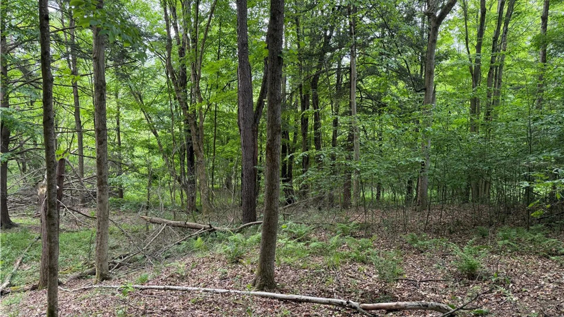 Property at Tinkertown Road, Tuscarora, NY 14510 31