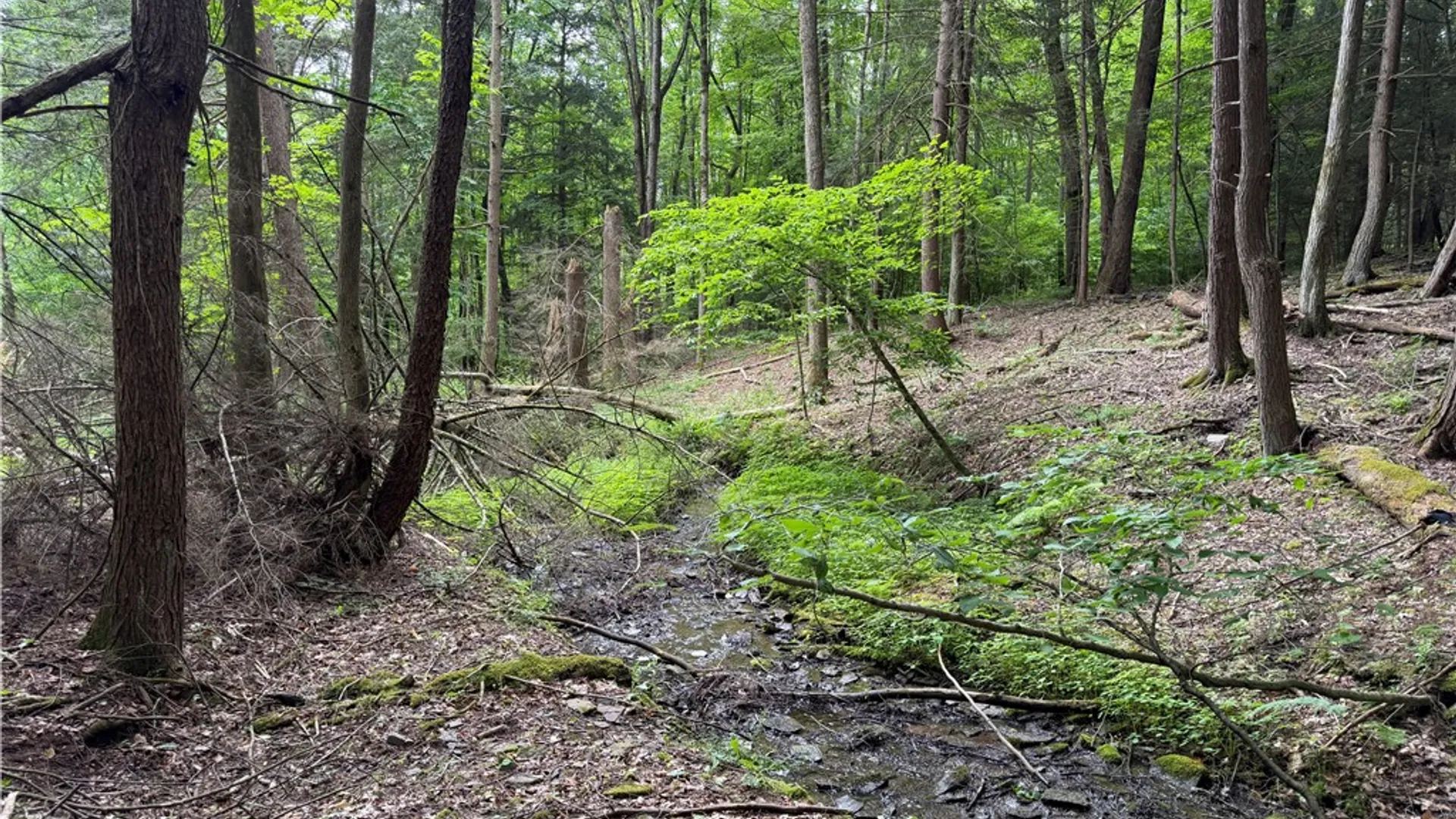 Property at Tinkertown Road, Tuscarora, NY 14510 32