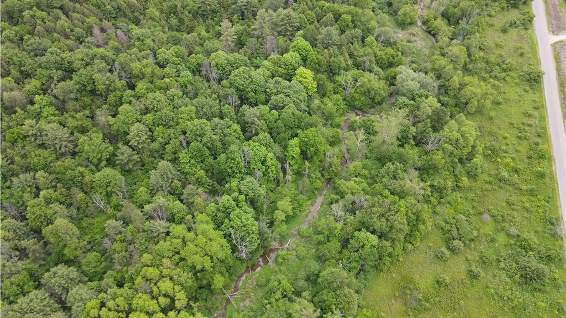 Property at Tinkertown Road, Tuscarora, NY 14510 33
