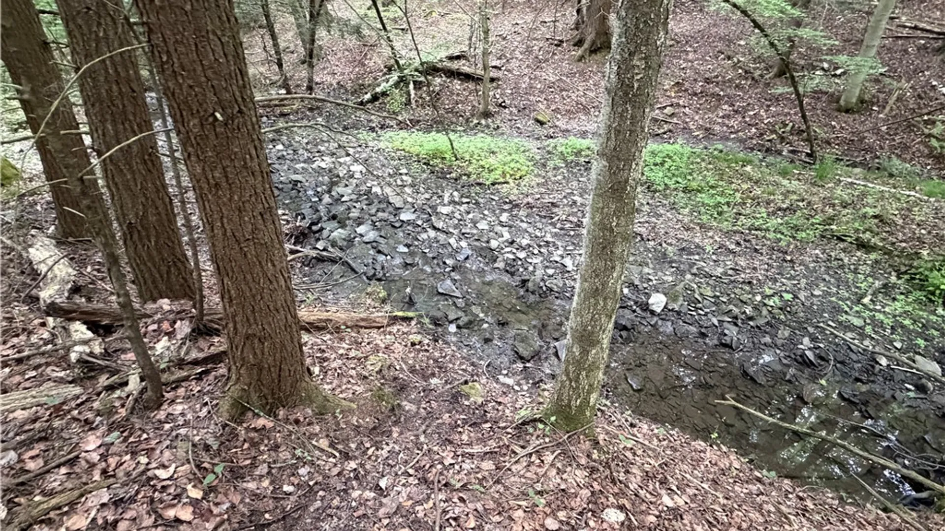 Property at Tinkertown Road, Tuscarora, NY 14510 34