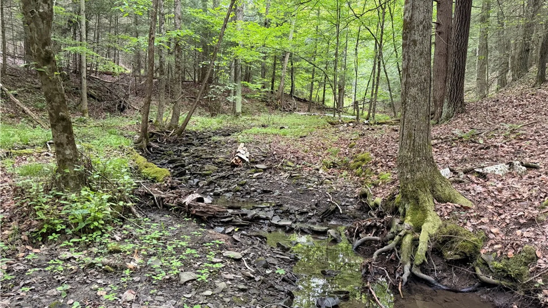 Property at Tinkertown Road, Tuscarora, NY 14510 35