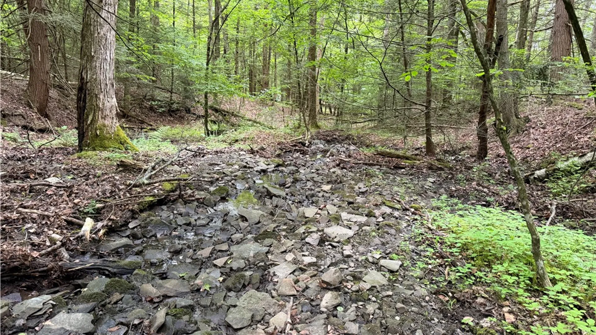 Property at Tinkertown Road, Tuscarora, NY 14510 36