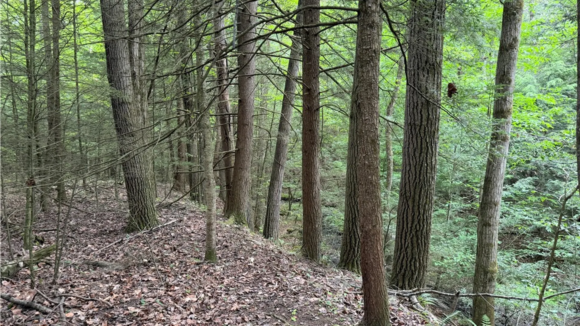 Property at Tinkertown Road, Tuscarora, NY 14510 37