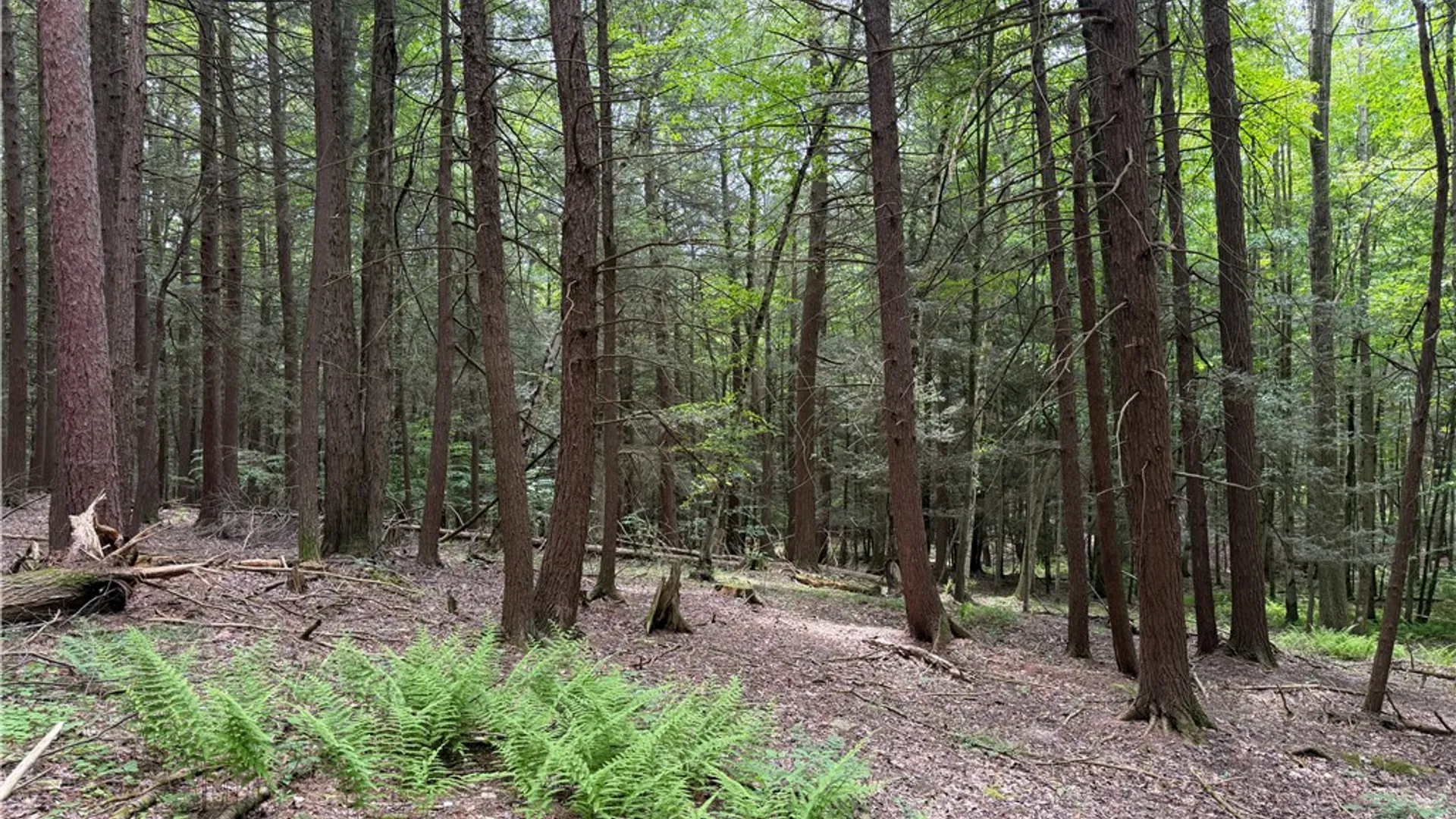 Property at Tinkertown Road, Tuscarora, NY 14510 4