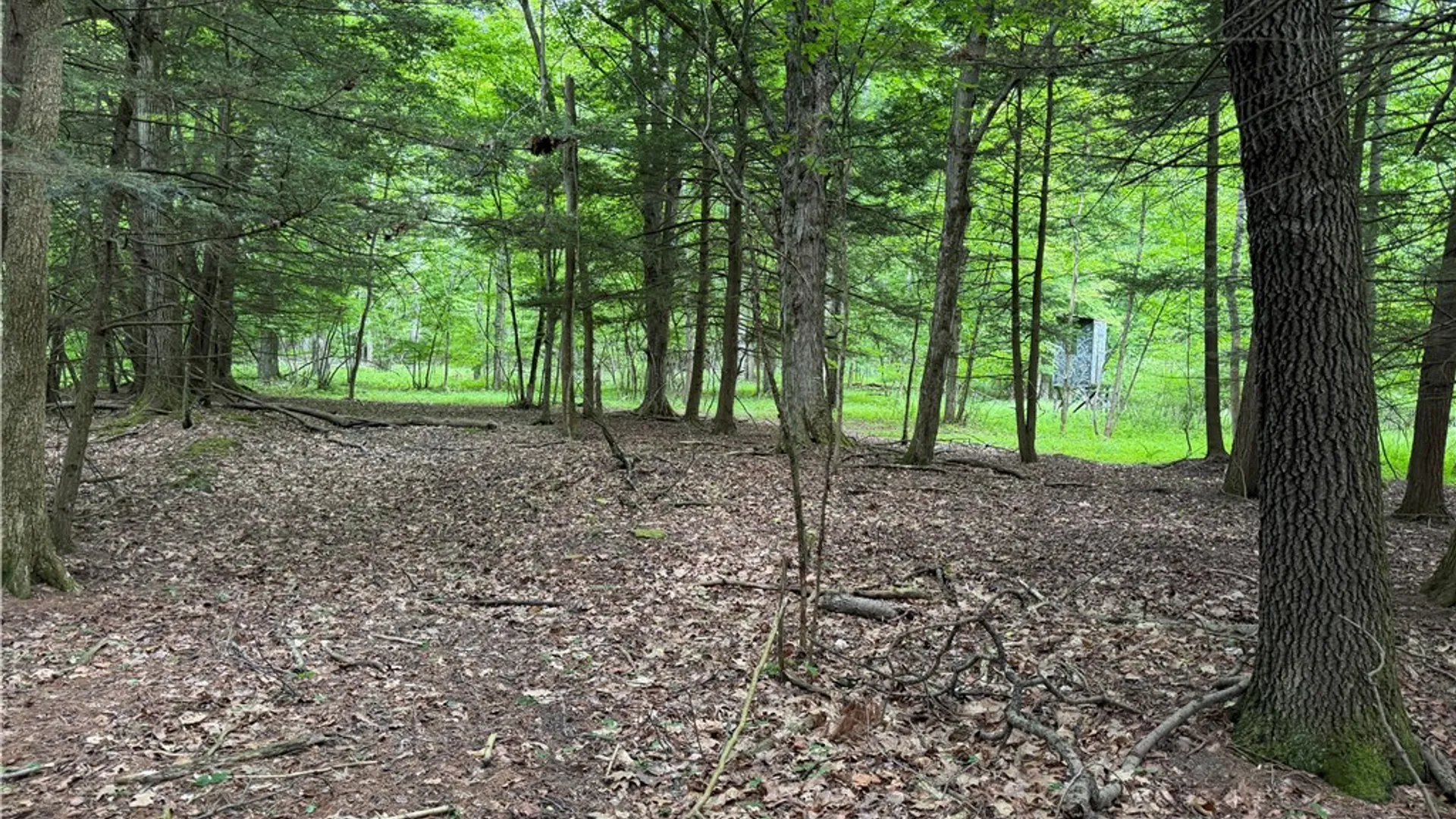 Property at Tinkertown Road, Tuscarora, NY 14510 42