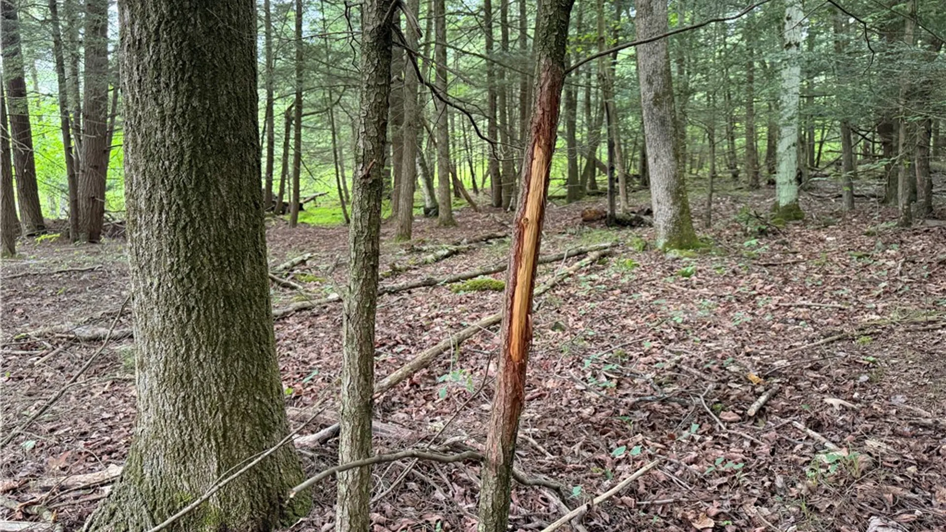 Property at Tinkertown Road, Tuscarora, NY 14510 44