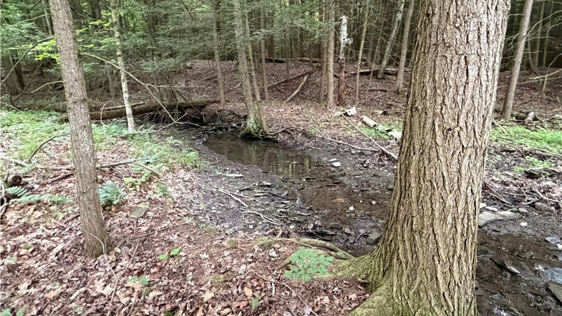 Property at Tinkertown Road, Tuscarora, NY 14510 45
