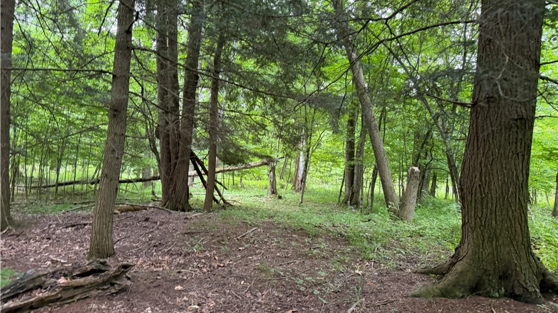 Property at Tinkertown Road, Tuscarora, NY 14510 46
