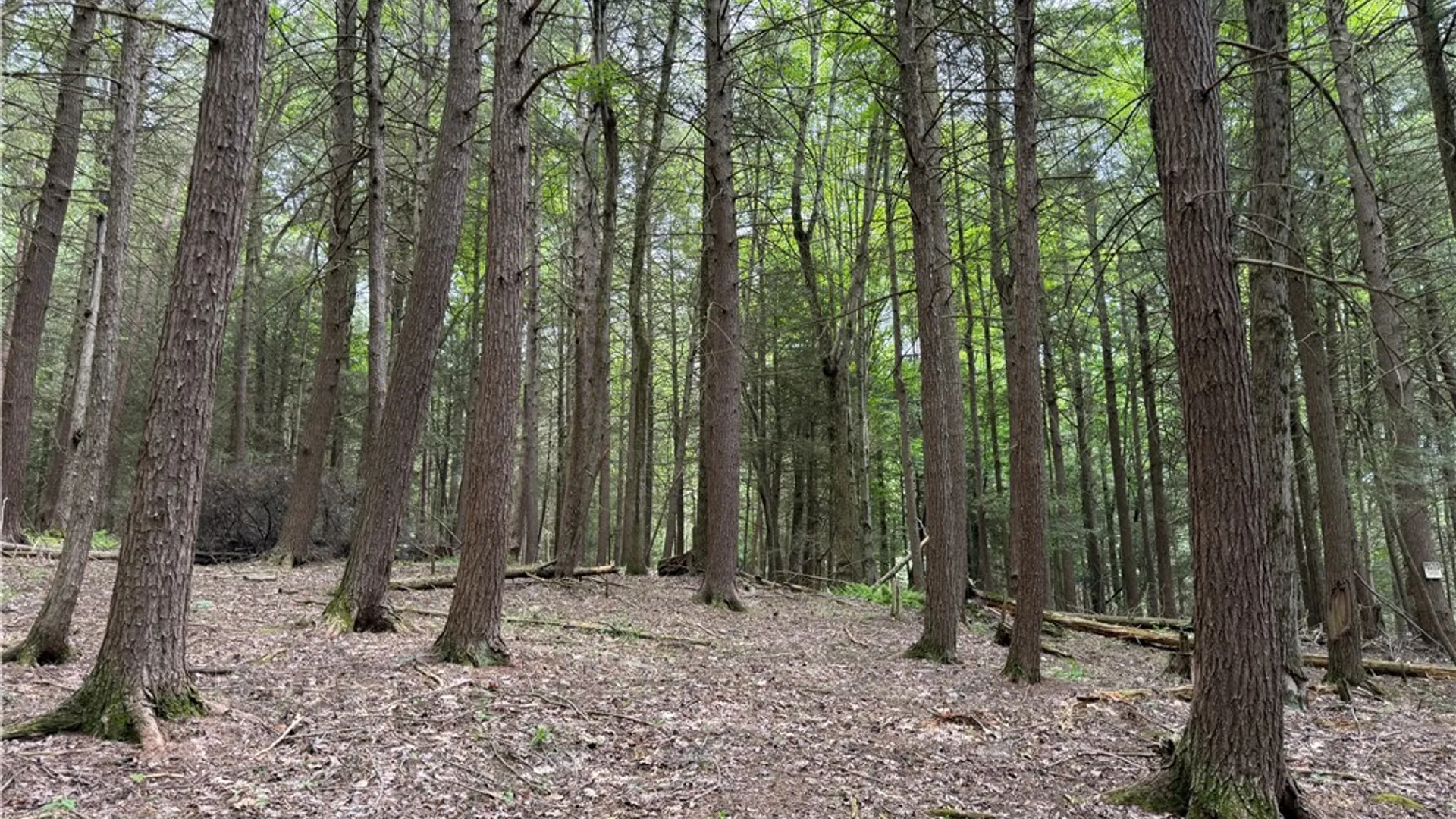Property at Tinkertown Road, Tuscarora, NY 14510 8