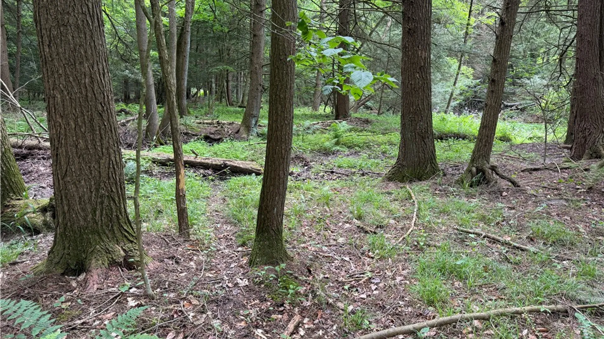 Property at Tinkertown Road, Tuscarora, NY 14510 9